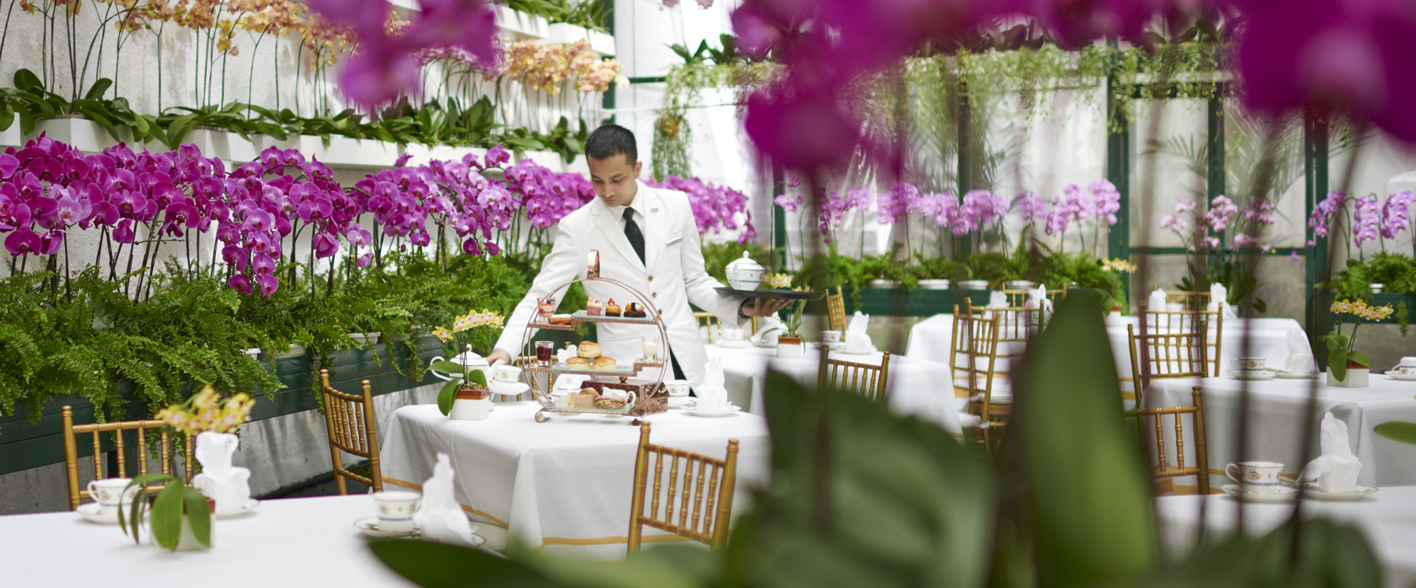 The Dreamy Flower Ceiling Photo Credit Shinmay Picture Of Viola Flower Cafe Kuala Lumpur Tripadvisor